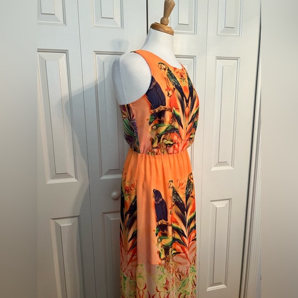 W118 by WALTER BAKER Tropical PARROT JUNGLE Maxi DRESS Size Small NWOT - Picture 3 of 6
